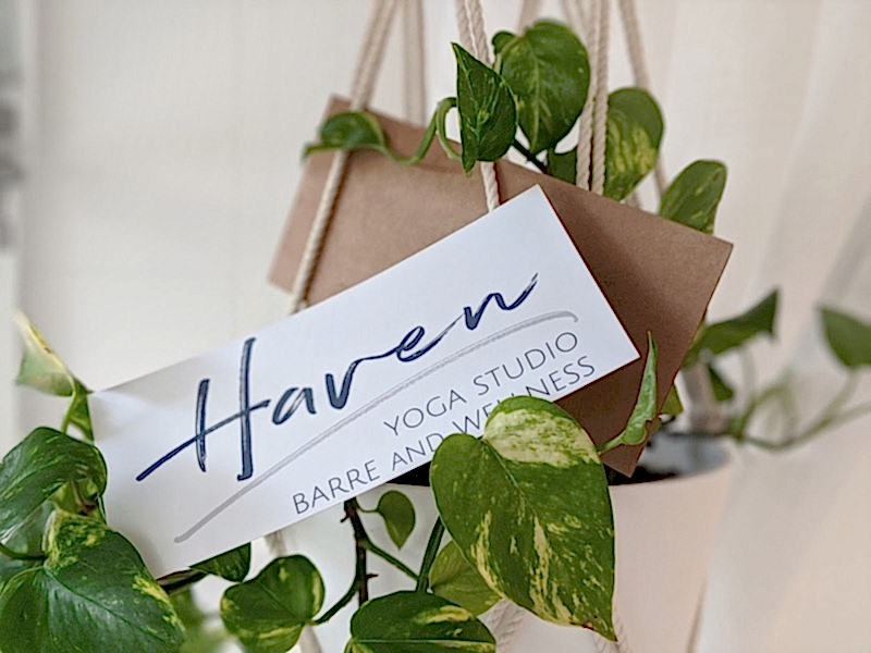 haven yoga barre pilates buderim studio sunshine coast plant