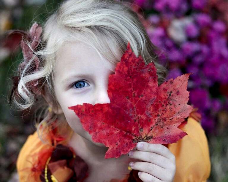 ndis group classes sunshine coast kids yoga buderim haven yoga studio