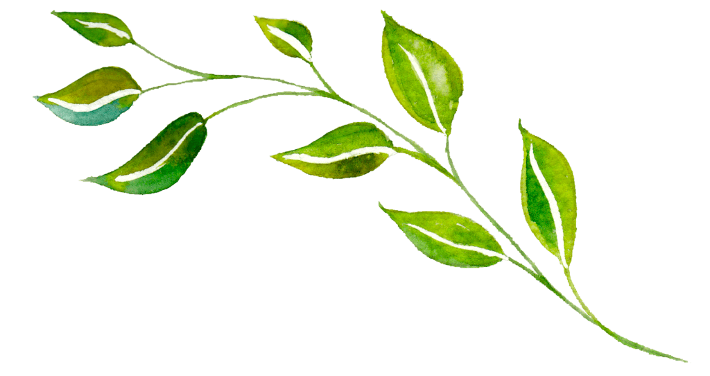 yoga wellness retreat qld queensland leaf