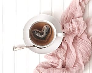 haven yoga studio pilates yin buderim wellness sunshine coast selfcare classes cup tea pink
