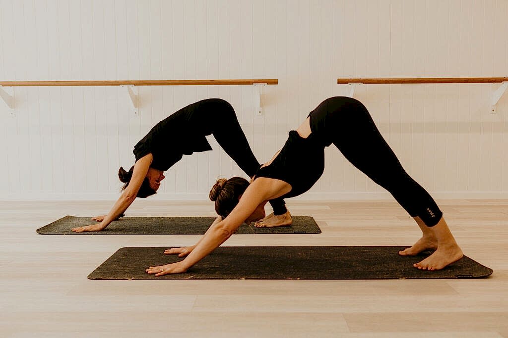 haven yoga studio sunshine coast pilates buderim class ndis