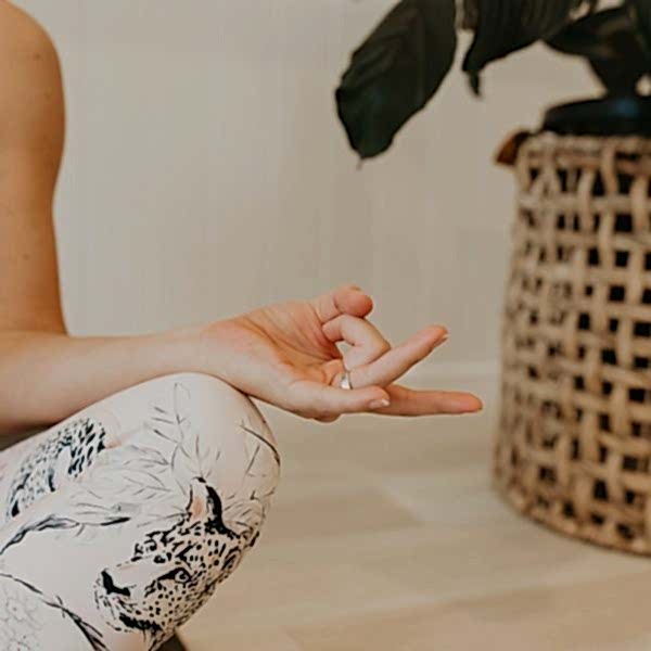 haven yoga studio Buderim barre pilates sunshine coast yoga barre classes timetable special events workshops