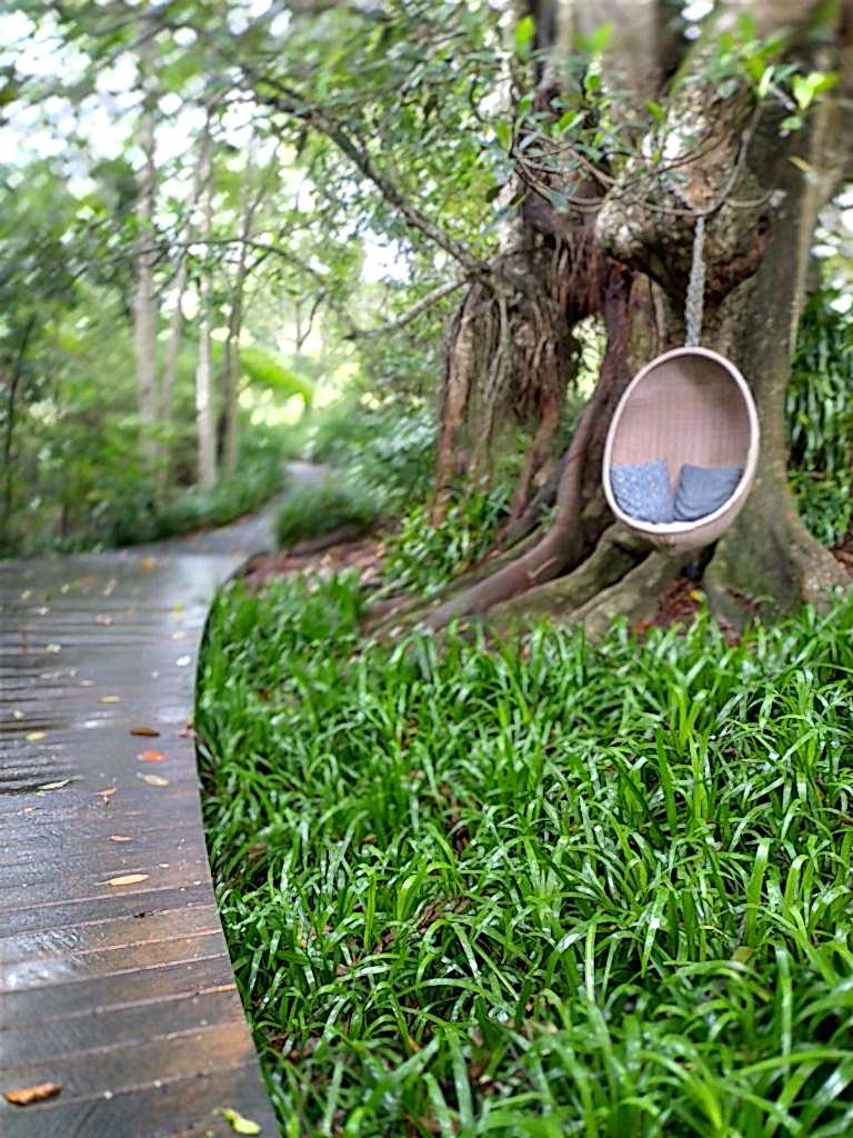 yoga retreat sunshine coast queensland qld nature